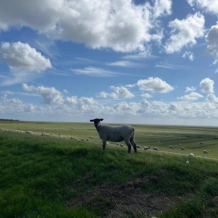 Frieda - Ferienwohnung Mit Deichblick フリードリッヒシュコオク エクステリア 写真